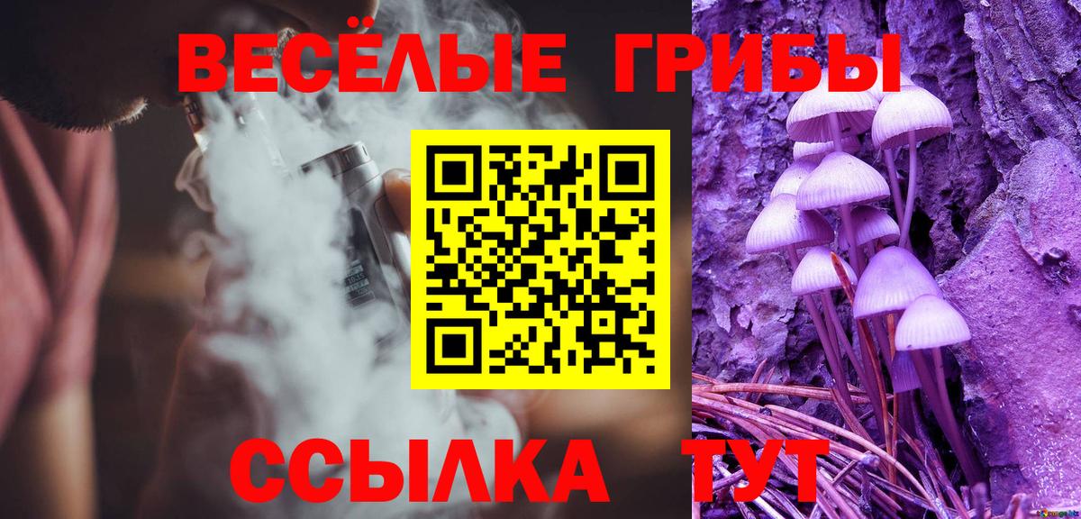 Псилоцибиновые грибы MAGIC MUSHROOMS Саратов